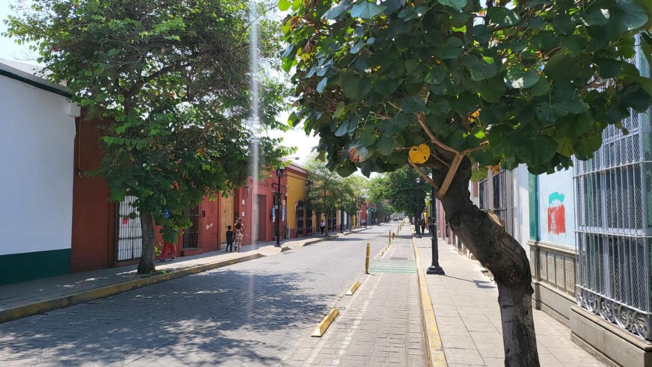 Appartement Oaxaca Departments Independencia Extérieur photo
